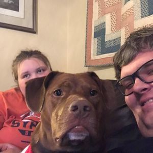 Meet your Posher, Bailey